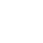 Line Icon